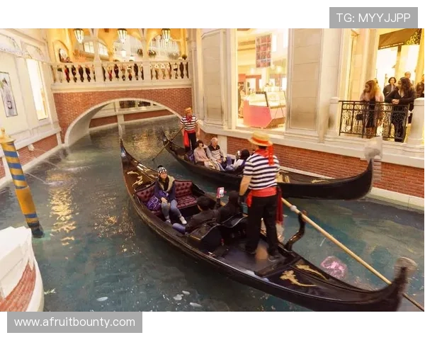 威尼斯人真人娱乐在线体验指南全面解析游戏流程与操作技巧